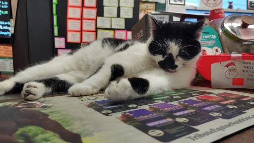 Pet Supply Store «Higbie Farm Supplies Inc», reviews and photos, 3440 Union St, North Chili, NY 14514, USA