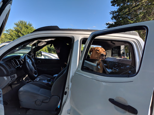 Auto Parts Store «Advance Auto Parts», reviews and photos, 599 E Oakland Park Blvd, Oakland Park, FL 33334, USA