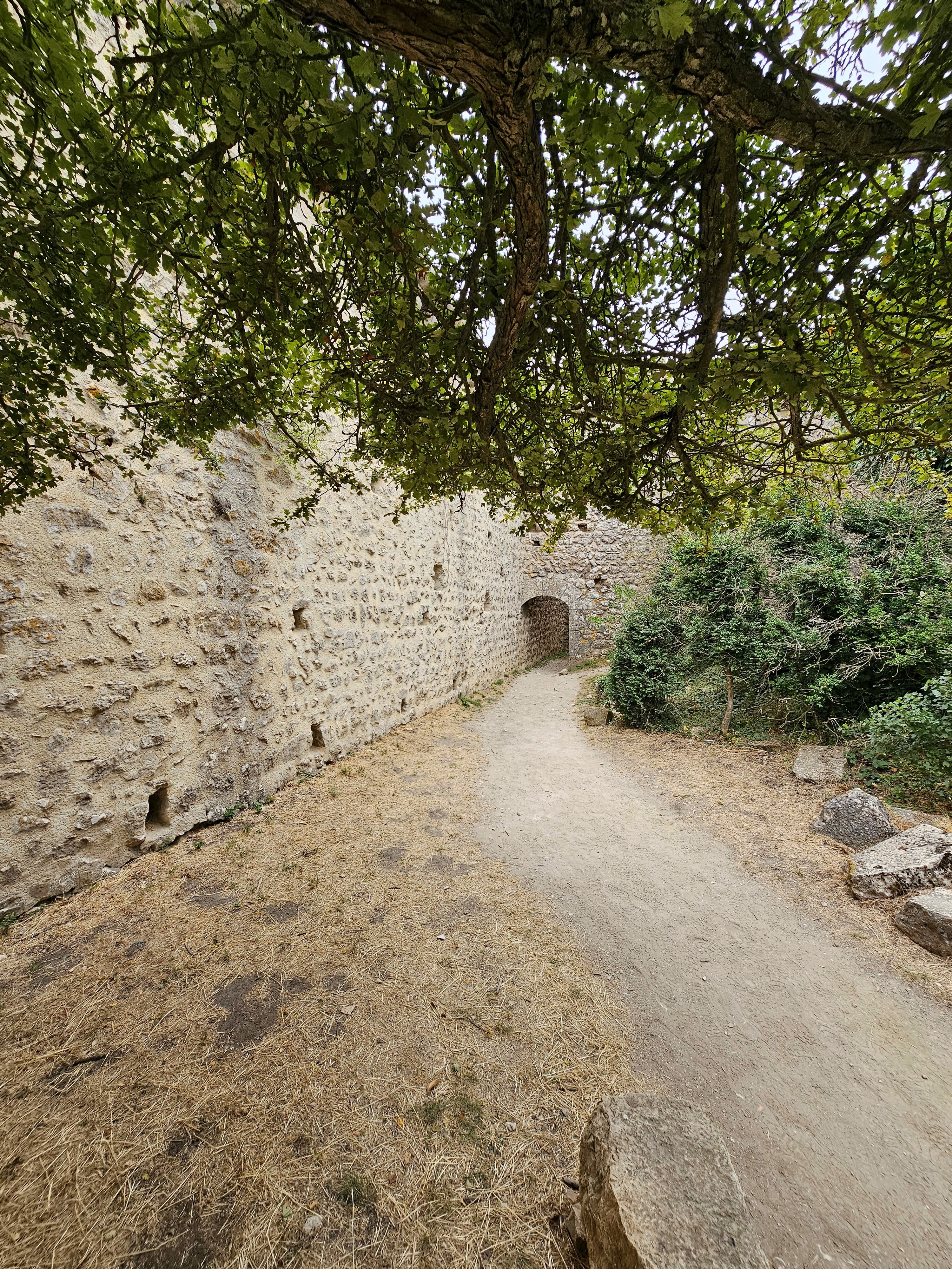 Photo n° 12 de l'avis de Pascal.h fait le 31/08/2023 à 08:48