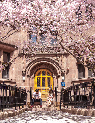 University «Yale University», reviews and photos