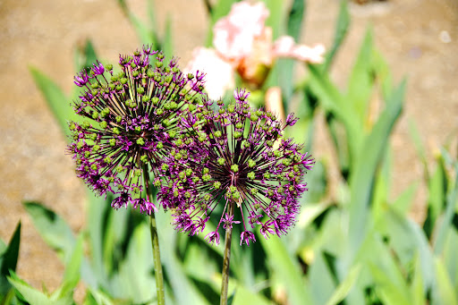 Botanical Garden «Conservation Garden Park», reviews and photos, 8275 1300 W, West Jordan, UT 84088, USA