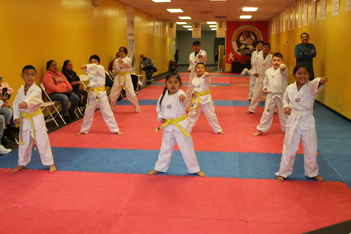 Rosales Golden Tigers Tkd Inc.