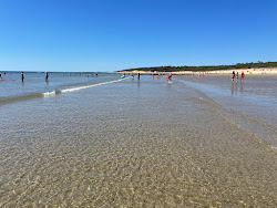 Plage de Vert Bois'in fotoğrafı ve yerleşim