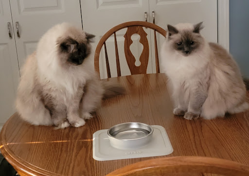 1732 IN-56, Jasper, IN 47546, USA