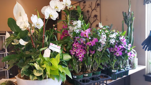 Florist «The Green Fashion Florist», reviews and photos, 915 S Claremont St, San Mateo, CA 94402, USA