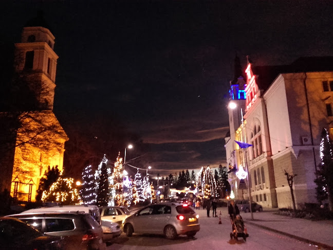Consiliul Județean - Suceava