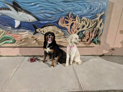 Event Venue «The Vanderbilt at South Beach», reviews and photos, 300 Father Capodanno Blvd, Staten Island, NY 10305, USA