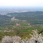 Photo n°1 de l'avis de Debora.i fait le 27/04/2023 à 10:59 sur le  La Rondinella à Tortima