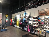 Trek Bicycle Lees Summit - Photo 5 - Car repair in Lee's Summit, MO, Lee's Summit