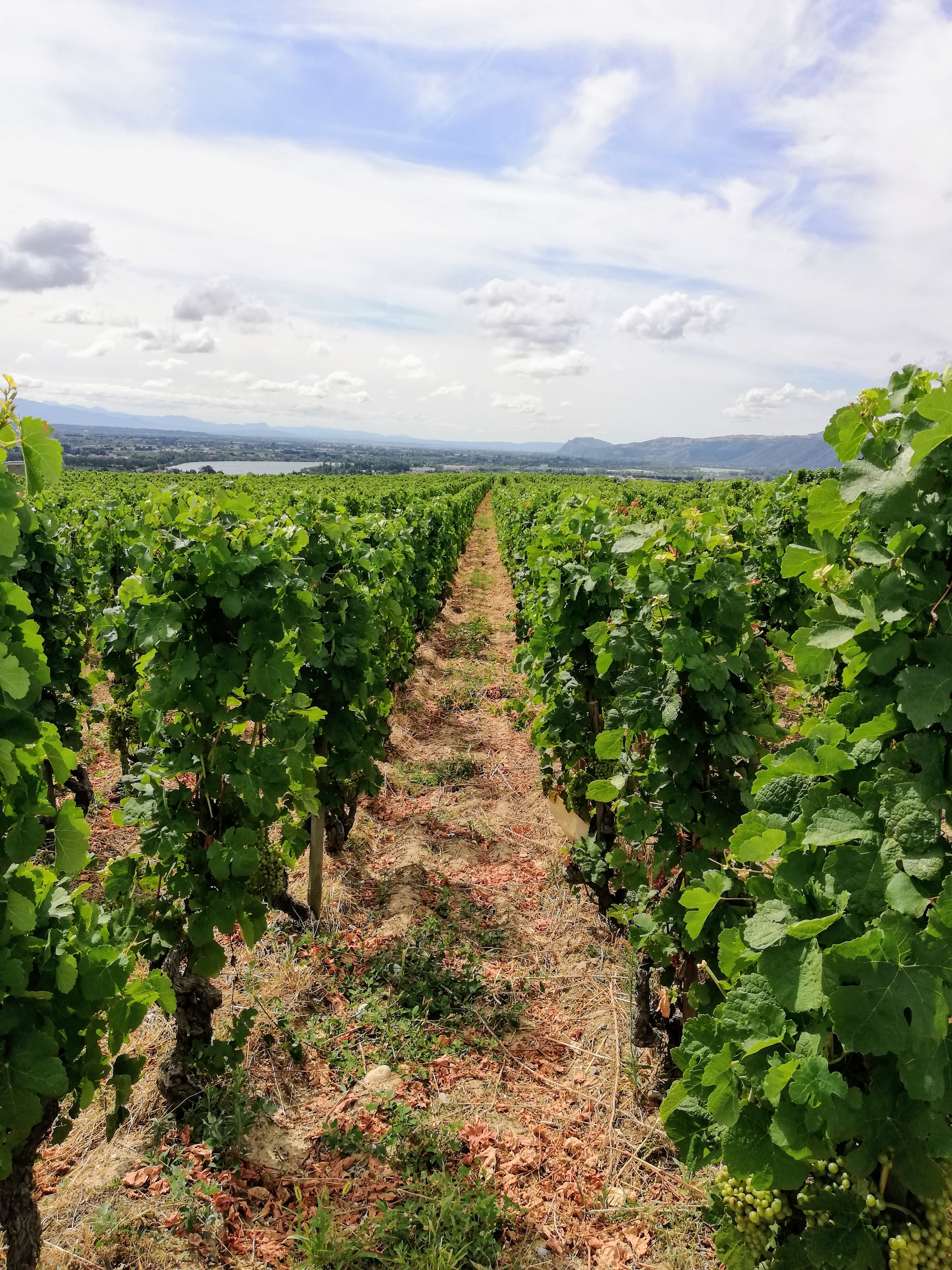 Photo n° 3 de l'avis de I.W fait le 13/08/2019 à 14:48
