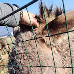 Photo n°1 de l'avis de Omar.a fait le 16/01/2022 à 14:58 sur le  Il Colmetto | Ristorante in Franciacorta à Rodengo-Saiano