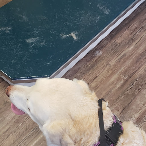 Pet Supply Store «PetSmart», reviews and photos, 111 Nassau Park Blvd, Princeton, NJ 08540, USA