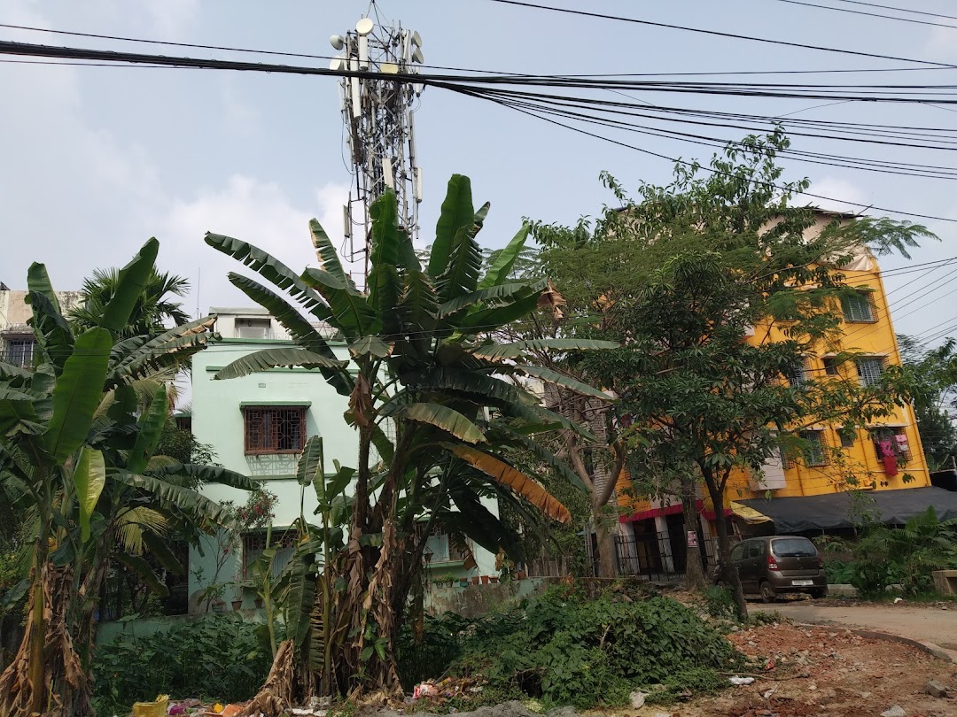 Ambalika Green Housing Complex Madurdaha