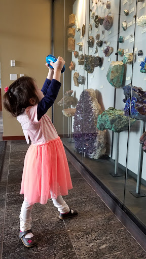 Museum «Beneski Museum of Natural History», reviews and photos, 11 Barrett Hill Rd, Amherst, MA 01002, USA