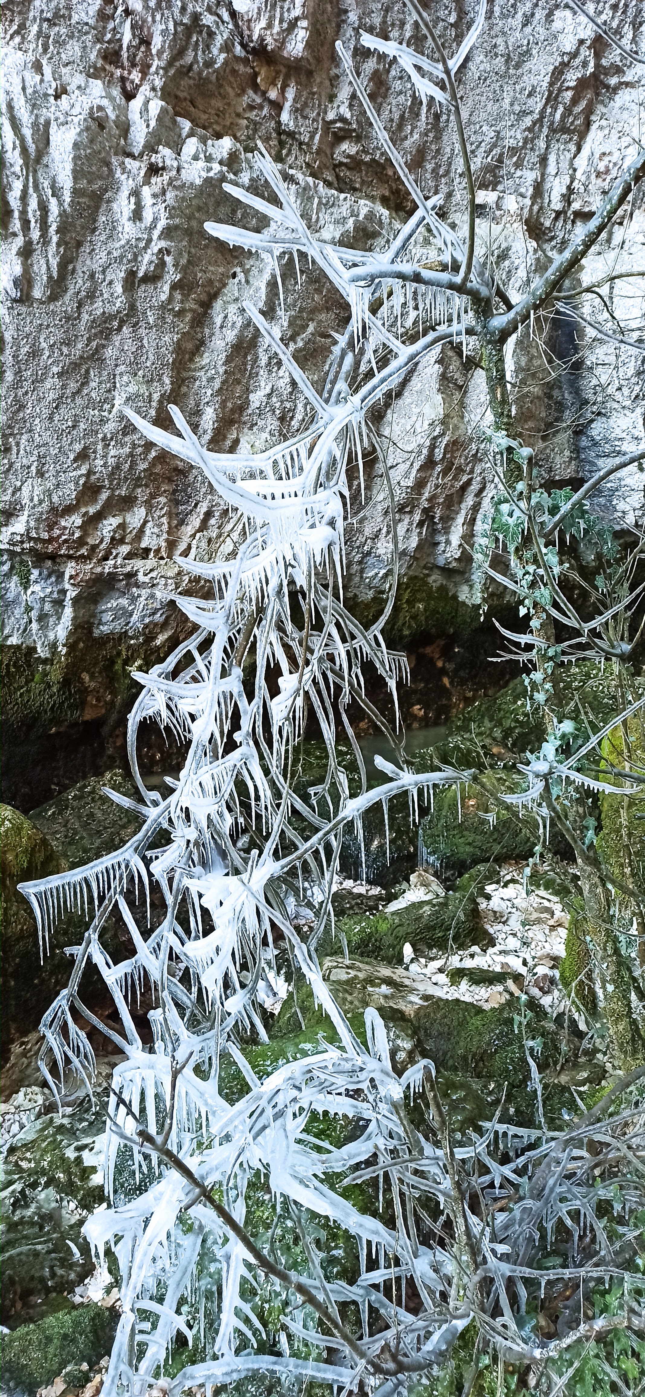Photo n° 1 de l'avis de Christophe.o fait le 13/02/2021 à 17:53