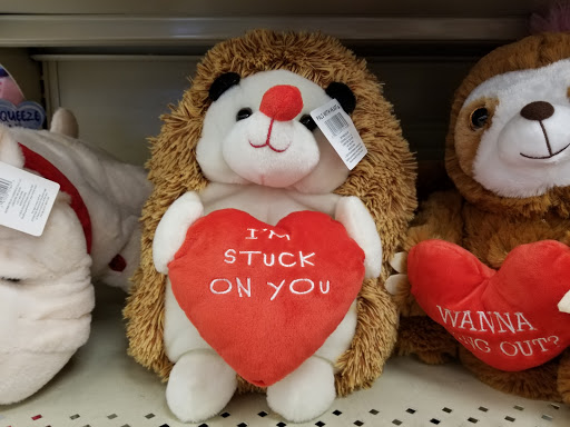 Grocery Store «Food Lion», reviews and photos, 794 Shopping Center Rd, Strasburg, VA 22657, USA