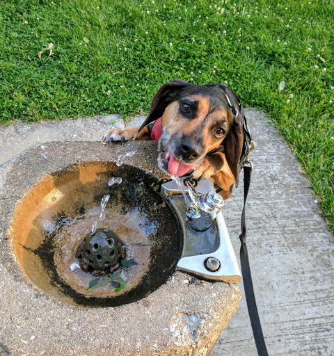 Park «Oriole Park», reviews and photos, 5430 N Olcott Ave, Chicago, IL 60656, USA