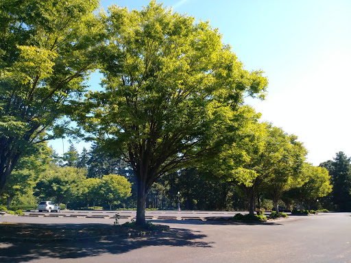 Park «EVERGREEN PARK», reviews and photos, 2615 NW 194th Terrace, Hillsboro, OR 97124, USA