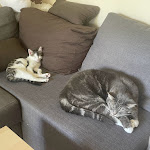 Photo n° 1 de l'avis de Maud.O fait le 18/08/2023 à 06:34 pour Cabinet Vétérinaire de Tasdon - Dr Marie STARICKY à La Rochelle