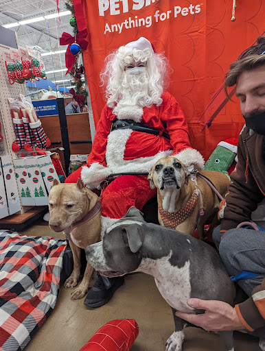 Pet Supply Store «PetSmart», reviews and photos, 160 Wadsworth Blvd, Lakewood, CO 80226, USA