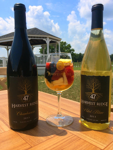 Winery «Harvest Ridge Winery», reviews and photos, 447 Westville Rd, Marydel, DE 19964, USA
