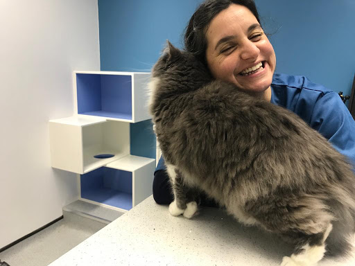 The West Midlands Cat Clinic