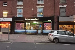 Blue Water Indian Restaurant image