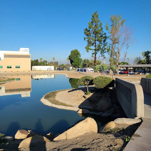 Veterans Affairs Medical Center