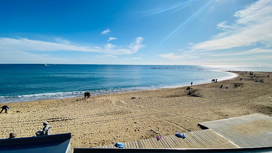 Playa Barceloneta