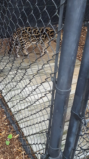 Tourist Attraction «Panther Ridge Conservation Center», reviews and photos, 14755 Palm Beach Point Blvd, Wellington, FL 33414, USA