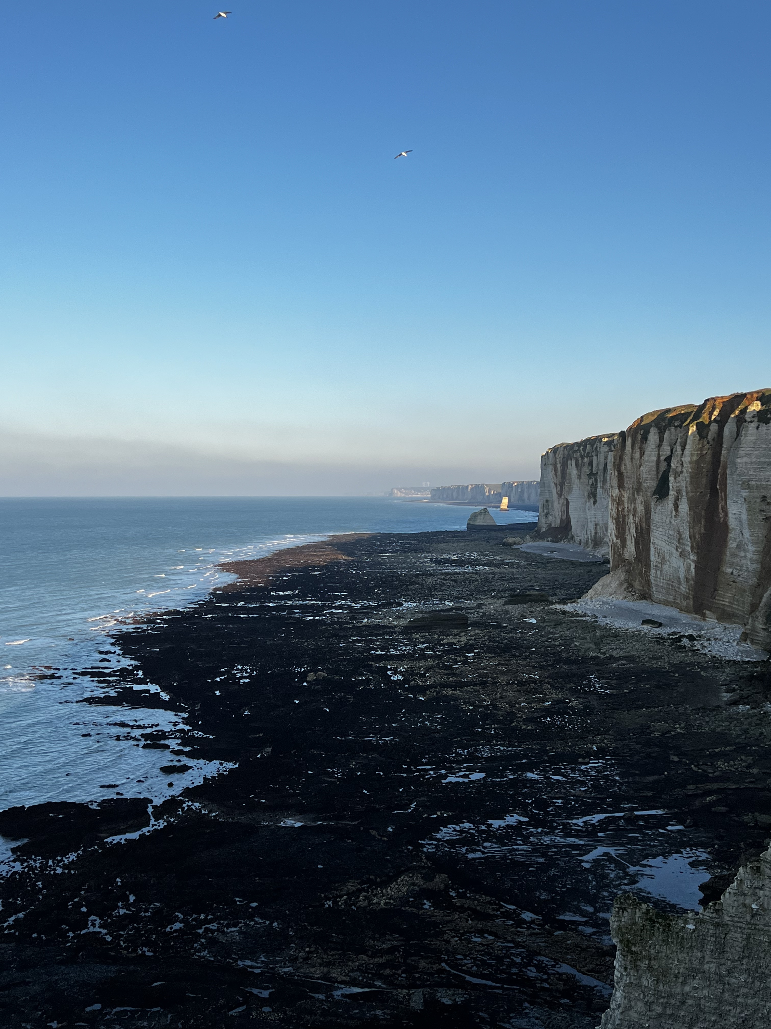 Photo n° 2 de l'avis de Solène.z fait le 21/01/2023 à 22:37