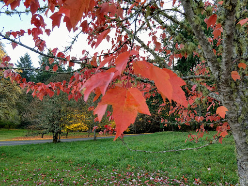 Wedding Chapel «Dancing Deer Mountain», reviews and photos, 25545 Hall Rd, Junction City, OR 97448, USA