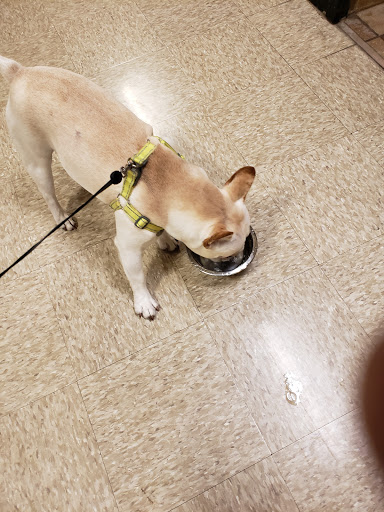 Pet Supply Store «PetSmart», reviews and photos, 3351 Jefferson Davis Hwy, Alexandria, VA 22305, USA