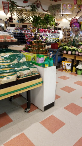 Grocery Store «Market Basket», reviews and photos, 350 Winthrop Ave, North Andover, MA 01845, USA