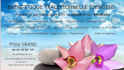 Energétique Chinoise Gestion du Stress et des émotions Philip Grand Salon de Provence à Salon-de-Provence