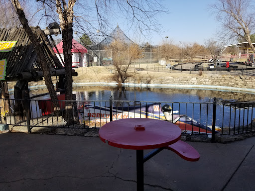 Amusement Park «All Star Adventures», reviews and photos, 1010 N Webb Rd, Wichita, KS 67206, USA