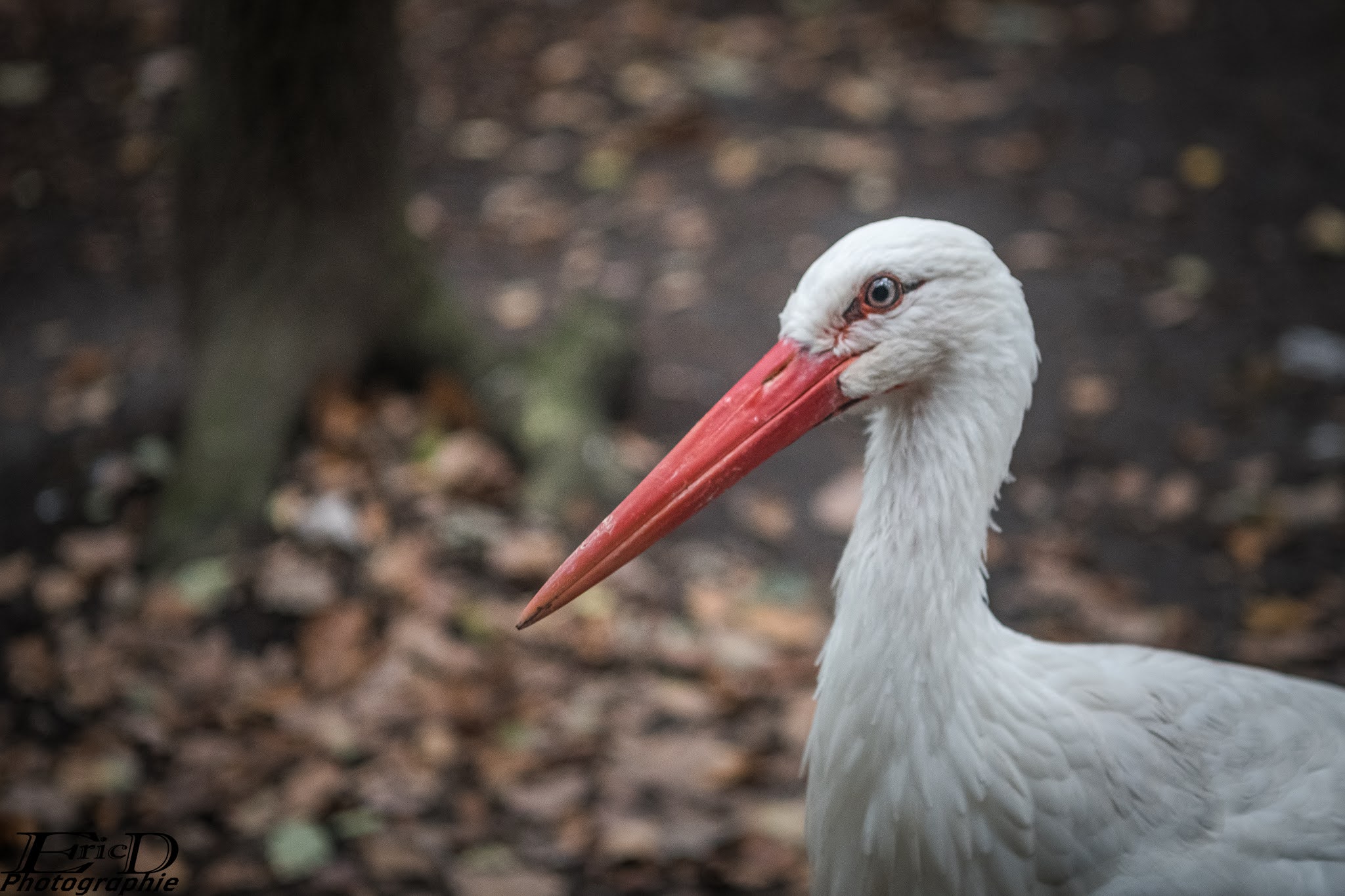 Photo n° 16 de l'avis de Ricou.H fait le 28/10/2020 à 16:42