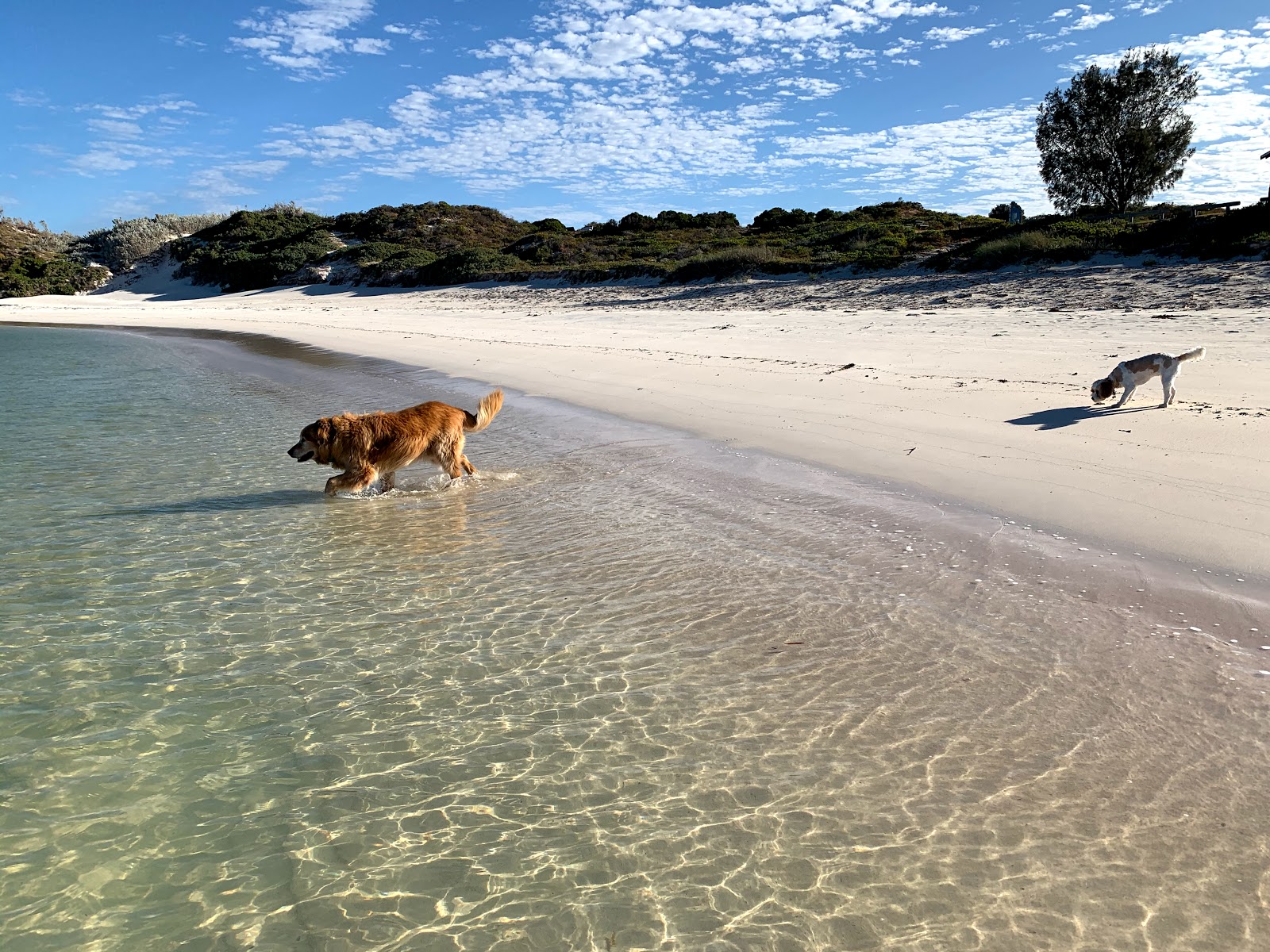 Dynamite Bay photo #8