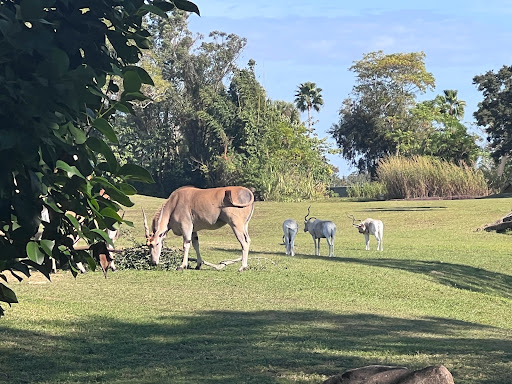 Tourist Attraction «Black Bear Wilderness Trailhead», reviews and photos, 5298 Michigan Ave, Sanford, FL 32771, USA