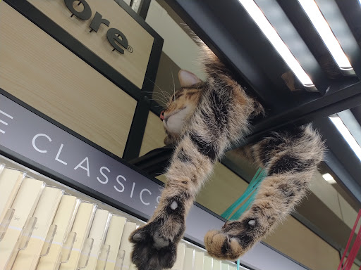 Hardware Store «Ace Hardware/Lumber of Pilot Point», reviews and photos, 316 US-377, Pilot Point, TX 76258, USA