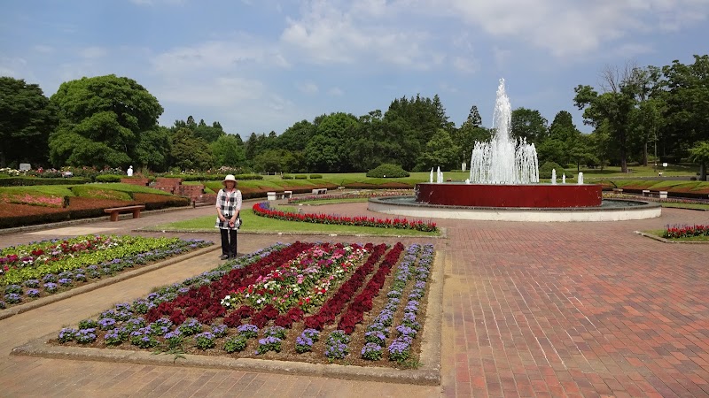 茨城県植物園 バラ園