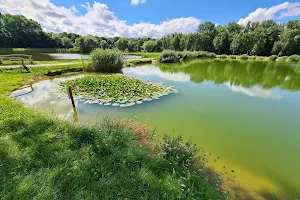 The Eyelash pond image