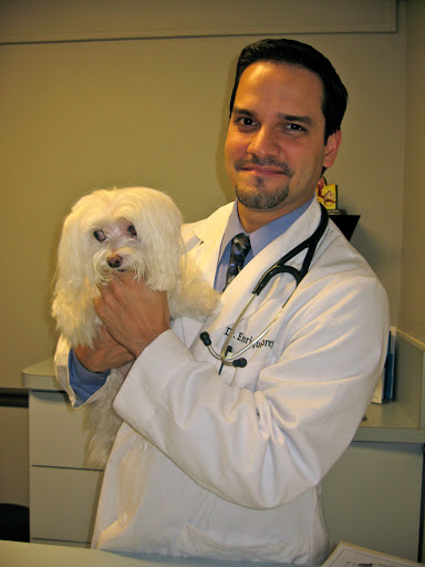 Corrine Drive Animal Hospital image