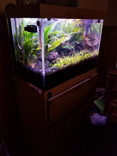 Pet Supply Store «Petco Animal Supplies», reviews and photos, 11633 Ulysses Ln NE #200, Blaine, MN 55434, USA