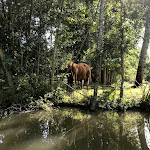 Photo n° 4 de l'avis de Gaëtane. fait le 20/08/2019 à 10:51 pour Embarcadère Prada à Coulon
