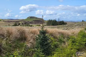 Locherwood Community Woodland image