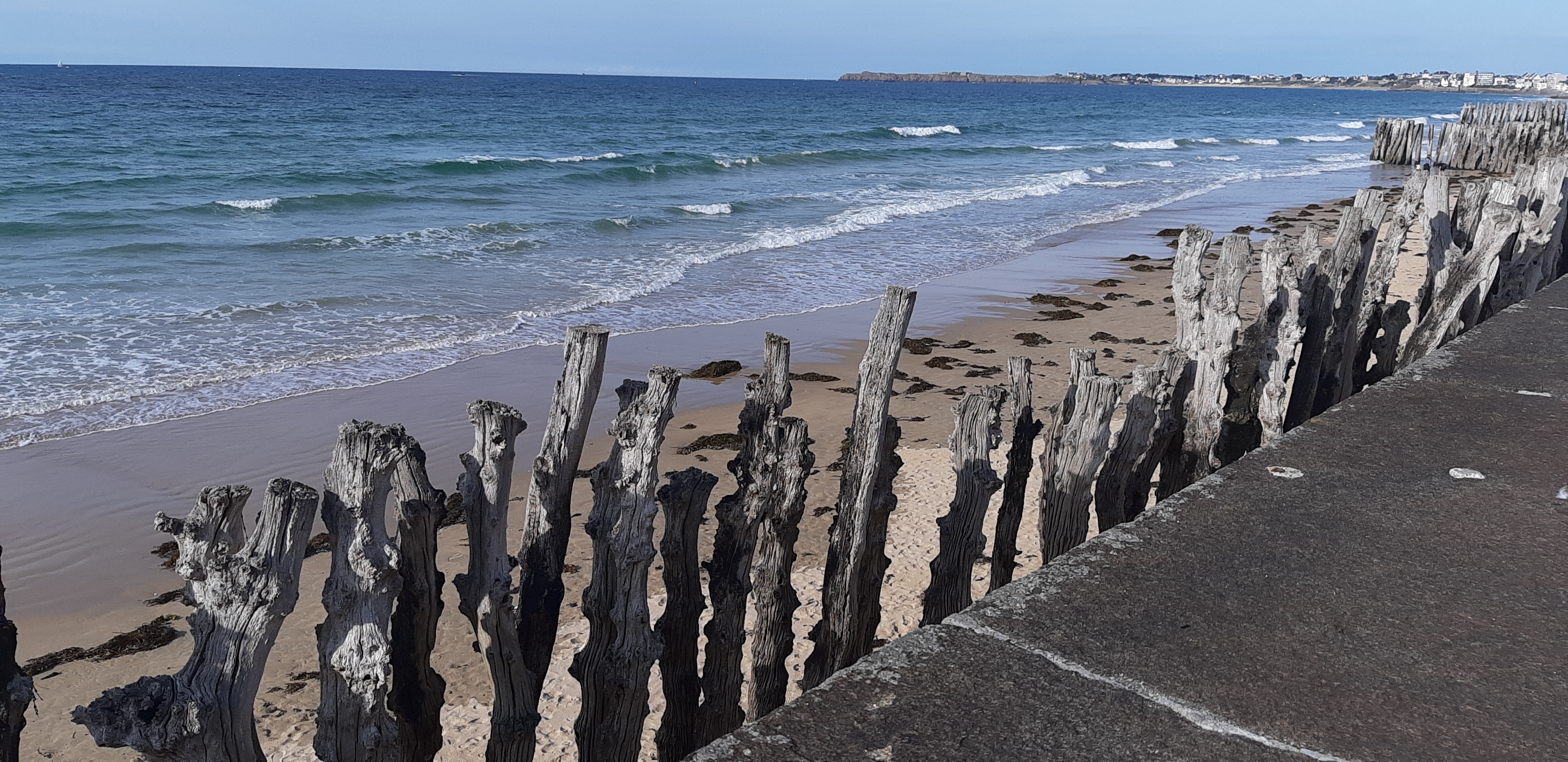 Photo n° 1 de l'avis de Kristine.a fait le 11/09/2019 à 08:43