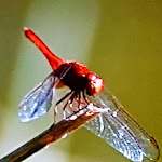 Photo n°22 de l'avis de Hajo.h fait le 01/02/2018 à 20:43 sur le  Gasthaus Haxterpark à Paderborn