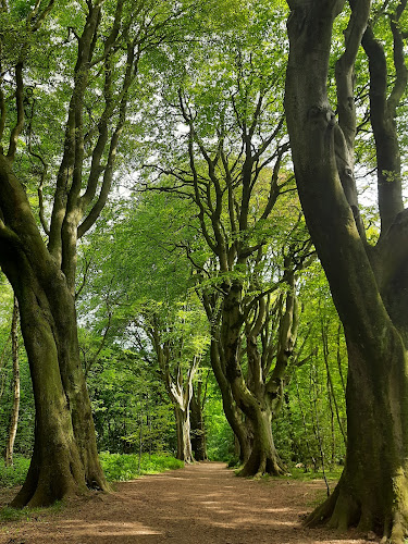 Stanmer Park Nature Reserve - Brighton