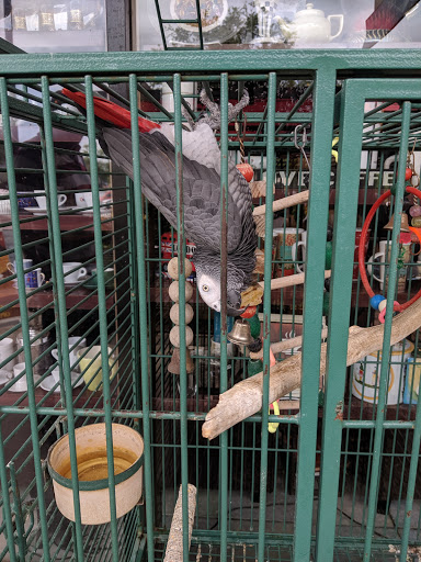 Shopping Mall «The Lake Buena Vista Factory Stores», reviews and photos, 15657 S Apopka Vineland Rd, Orlando, FL 32821, USA